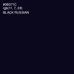 #0B071C - Black Russian Color Image