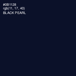 #0B1128 - Black Pearl Color Image