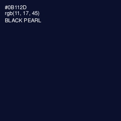 #0B112D - Black Pearl Color Image