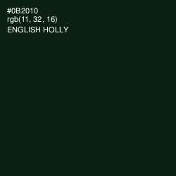 #0B2010 - English Holly Color Image