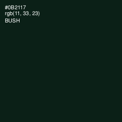 #0B2117 - Bush Color Image