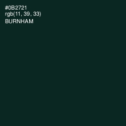 #0B2721 - Burnham Color Image