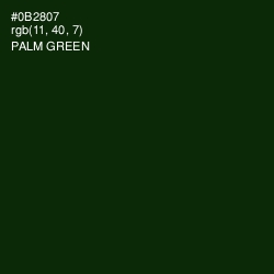 #0B2807 - Palm Green Color Image