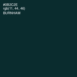 #0B2C2E - Burnham Color Image