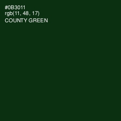 #0B3011 - County Green Color Image
