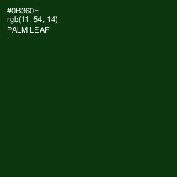 #0B360E - Palm Leaf Color Image