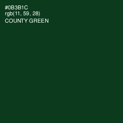 #0B3B1C - County Green Color Image