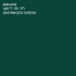 #0B4539 - Sherwood Green Color Image