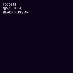 #0C0318 - Black Russian Color Image