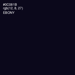 #0C081B - Ebony Color Image