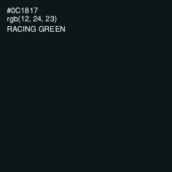 #0C1817 - Racing Green Color Image