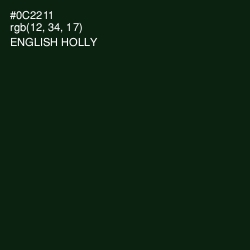 #0C2211 - English Holly Color Image