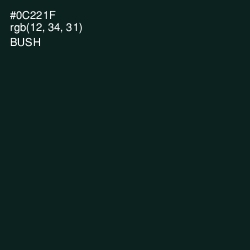 #0C221F - Bush Color Image