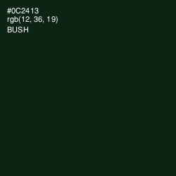 #0C2413 - Bush Color Image