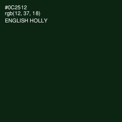 #0C2512 - English Holly Color Image