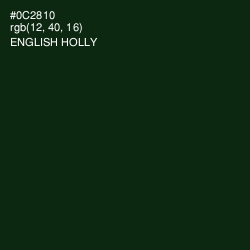 #0C2810 - English Holly Color Image