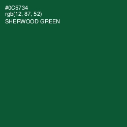 #0C5734 - Sherwood Green Color Image