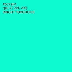 #0CF9D1 - Bright Turquoise Color Image