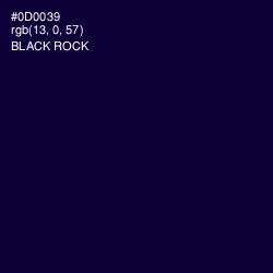 #0D0039 - Black Rock Color Image