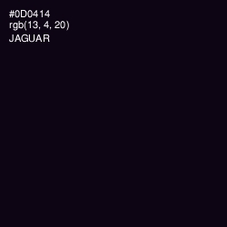 #0D0414 - Jaguar Color Image
