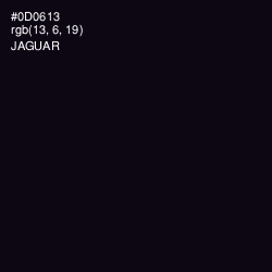#0D0613 - Jaguar Color Image