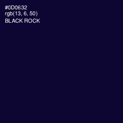 #0D0632 - Black Rock Color Image