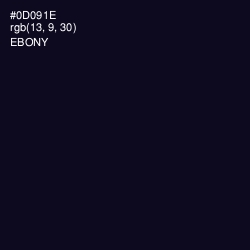 #0D091E - Ebony Color Image