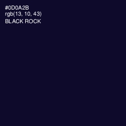 #0D0A2B - Black Rock Color Image