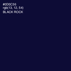 #0D0C36 - Black Rock Color Image