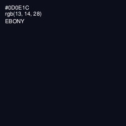#0D0E1C - Ebony Color Image