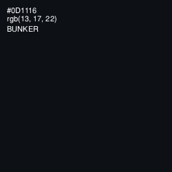 #0D1116 - Bunker Color Image
