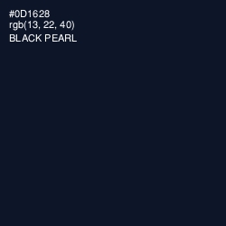 #0D1628 - Black Pearl Color Image