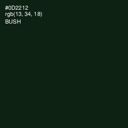 #0D2212 - Bush Color Image