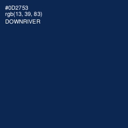 #0D2753 - Downriver Color Image