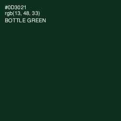 #0D3021 - Bottle Green Color Image
