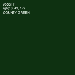 #0D3111 - County Green Color Image