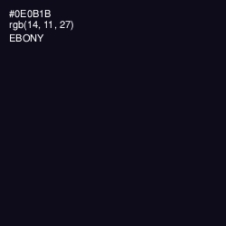 #0E0B1B - Ebony Color Image