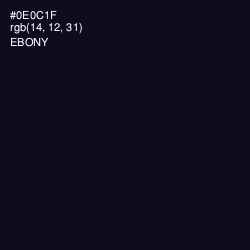 #0E0C1F - Ebony Color Image