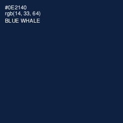 #0E2140 - Blue Whale Color Image