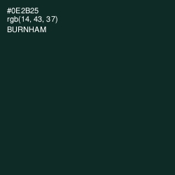 #0E2B25 - Burnham Color Image
