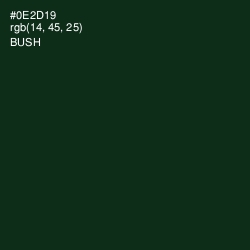 #0E2D19 - Bush Color Image