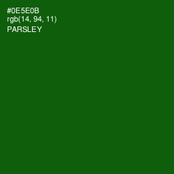 #0E5E0B - Parsley Color Image