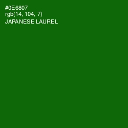 #0E6807 - Japanese Laurel Color Image