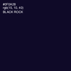 #0F0A28 - Black Rock Color Image