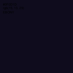 #0F0D1D - Ebony Color Image