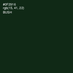 #0F2916 - Bush Color Image