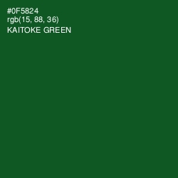 #0F5824 - Kaitoke Green Color Image