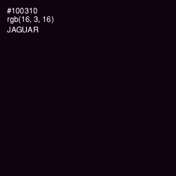 #100310 - Jaguar Color Image