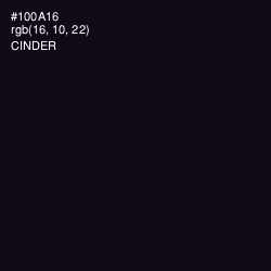 #100A16 - Cinder Color Image