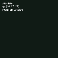 #101B16 - Hunter Green Color Image
